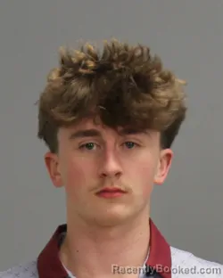 Mugshot of Todd Allan Johnson
