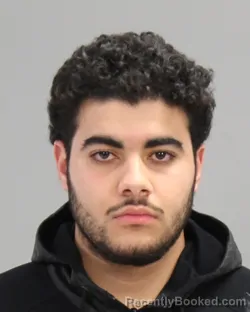 Mugshot of Mohammed Nasrollah