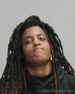 Mugshot of CRAIGNISHA NICOLE FIELDS