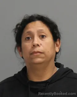Mugshot of OFELIA HERNANDEZ