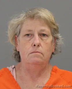 Mugshot of LORI ANN HAWKINS