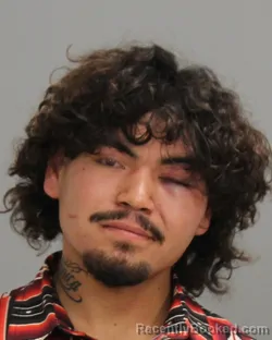 Mugshot of YAEL BENICIO CABRERA