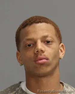 Mugshot of Chandell Demarcus Lewis