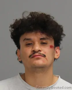 Mugshot of Pedro Allberto Granados