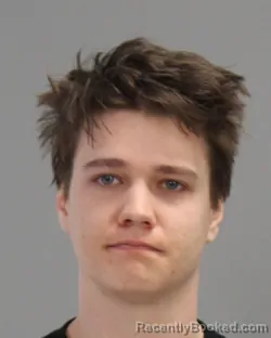 Mugshot of DAVID CHRISTOPHER WHITE SWEITZER