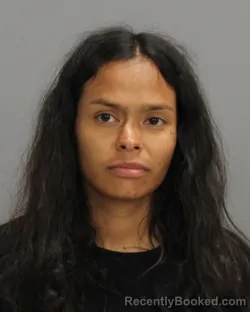 Mugshot of CYNTHIA RUTH RICARTE