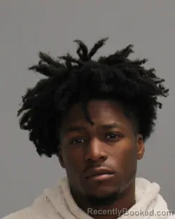 Mugshot of DENUM MCMILLIAN