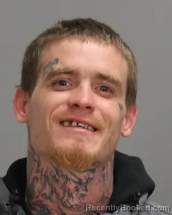 Mugshot of BRANDON LEE NEWTON