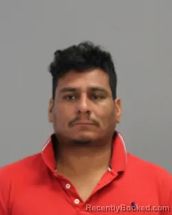 Mugshot of FELIPE LEE DIAZ