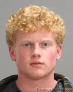 Mugshot of MERCER YORK KERLIN