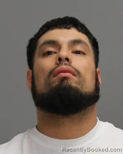 Mugshot of LUIS FERNANDO CASTANEDA DELGADO