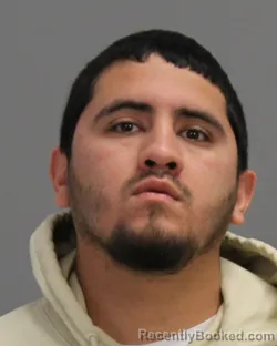 Mugshot of ROGELIO ANTONIO BAHENA