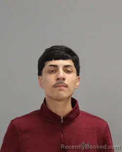 Mugshot of DANIEL RIOS