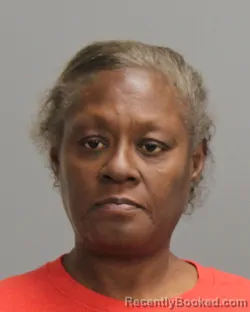 Mugshot of PAMELA MITCHELL