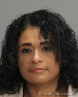Mugshot of ELIZABETH ESTRADA