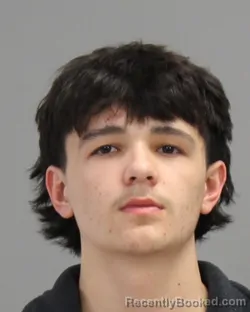 Mugshot of LOGAN ALEXANDER NAHA