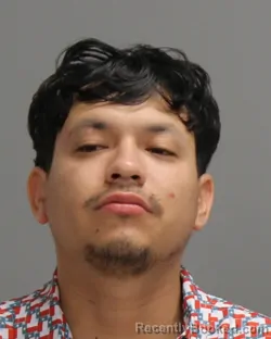 Mugshot of JAROL ORTEGA