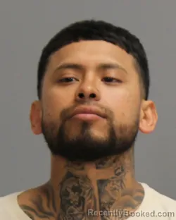Mugshot of ROLANDO MARTINEZ