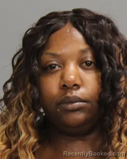 Mugshot of BRONTERRA JANAE NICHOLSON