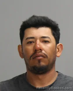 Mugshot of ANTONIO ALVARADO
