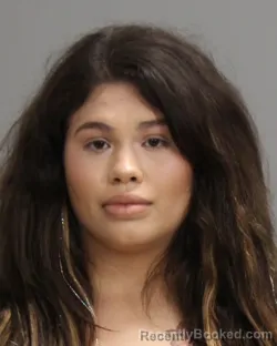 Mugshot of STEPHANIE MICHELLE COLON