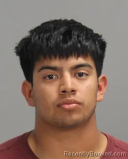 Mugshot of AIDEN TRINIDAD MARTINEZ