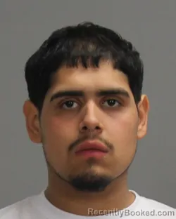 Mugshot of OSCAR CHRISTIAN DIAZ