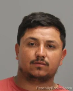Mugshot of LUIS GUSTAVO HERNANDEZ SANCHEZ