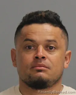 Mugshot of ERLING ERAZO LAGOS