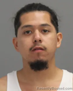 Mugshot of Christopher Michael Deleon
