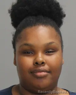Mugshot of TYRA JANA'E LEWIS