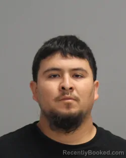 Mugshot of RICARDO SALINAS GUTIERREZ