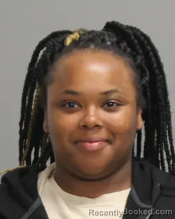 Mugshot of SHYERICA SHANTEL LASHAY JOHNSON