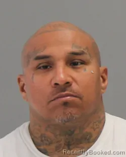 Mugshot of RUDY LONGORIA ALVARADO