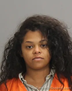 Mugshot of Danielle Mitchell