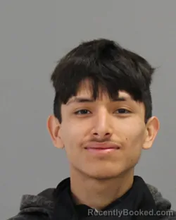 Mugshot of JOSHUA REYES