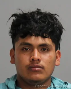 Mugshot of JESUS FRANCISCO FLORES LOZANO
