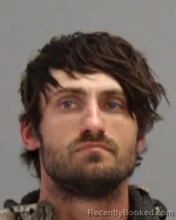 Mugshot of ALLEN MICHAEL HALL