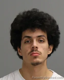 Mugshot of DAVID MARTINEZ