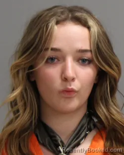 Mugshot of AVA RENEE BUSH