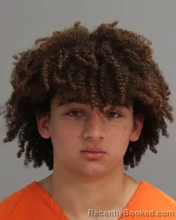 Mugshot of Cameron Blake Mcbride