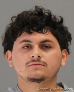 Mugshot of Christian Jorge Trevino Palomares