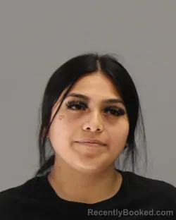 Mugshot of JASMINE ANAHI ALONSO