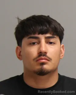 Mugshot of JESUS HIGINIO VILLARREAL