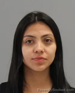 Mugshot of BRIANNA ITZEL ACOSTA