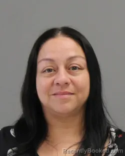 Mugshot of Rozanna Michelle Minchaca booked in Brazos County, Texas on March 27, 2026