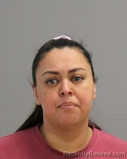 Mugshot of LESLIE Ann ZUNIGA booked in Brazos County, Texas on March 27, 2026