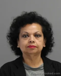 Mugshot of AUDREA MALISA CONSTANCIO booked in Brazos County, Texas on March 27, 2026