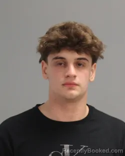 Mugshot of RYAN SCHARAIBER DE LIMA booked in Brazos County, Texas on April 5, 2026