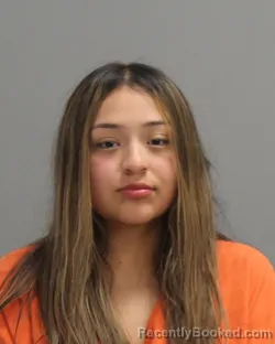 Mugshot of Lizeth Aridai Mendoza booked in Brazos County, Texas on April 5, 2026